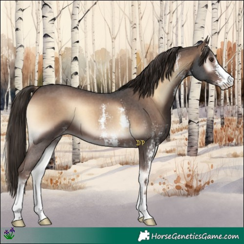 Horse Color:Liver Red Onyx Sabino 