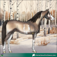 Horse Color:Liver Red Onyx Sabino