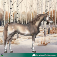 Horse Color:White Spotted Liver Red Onyx Sabino 
