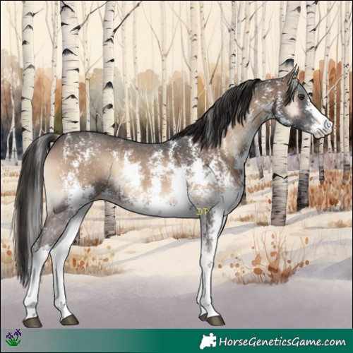 Horse Color:Liver Red Onyx Sabino