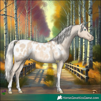 Horse Color:Cremello Dun Tobiano Blanket 