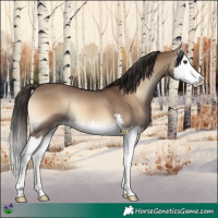 Horse Color:Liver Red Dun Onyx Splash 