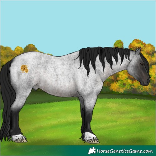 Horse Color:Gray Platinum Brown Roan 