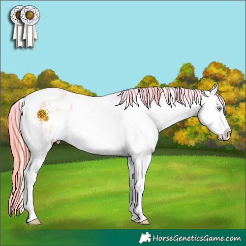 Horse Color:Painted Chocolate Buckskin Pearl Sabino Splash Appaloosa 