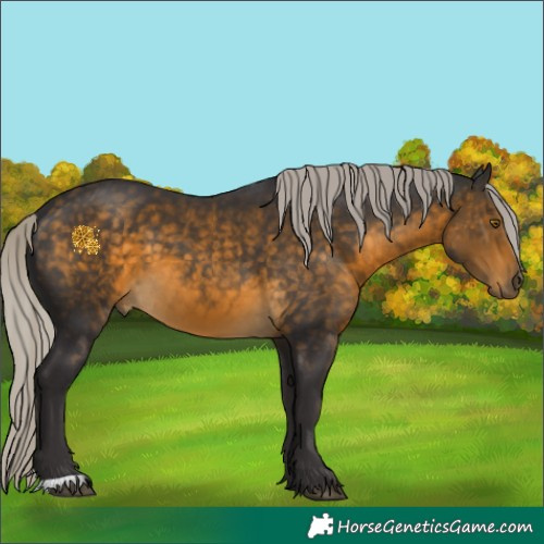 Horse Color:Silver Buckskin 