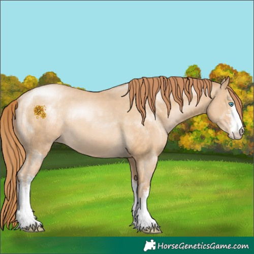 Horse Color:White Spotted Buckskin Pearl 