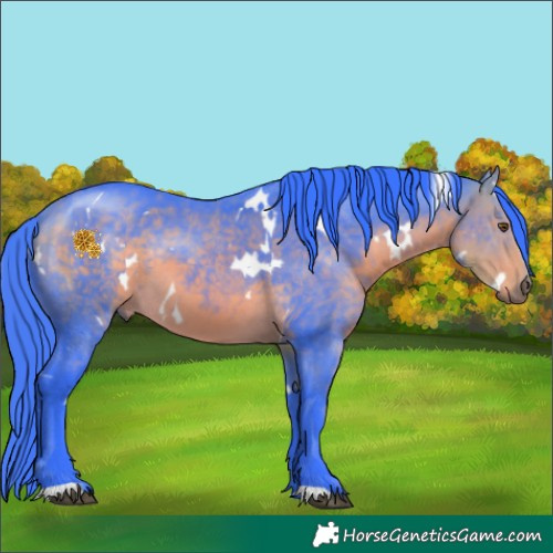 Horse Color:Watercolor White Spotted Buckskin 