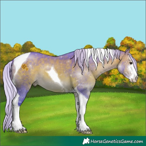 Horse Color:Watercolor Silver Brown Sabino Tobiano 