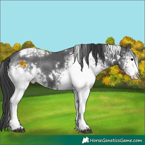 Horse Color:White Spotted Black Ice 