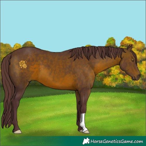 Horse Color:Chocolate Brown 
