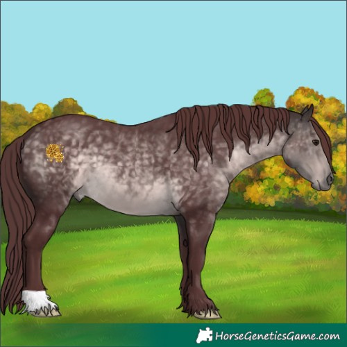 Horse Color:Platinum Chocolate Buckskin 