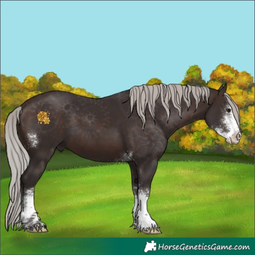 Horse Color:Silver Brown Sabino 