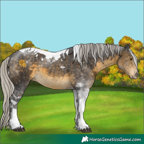 Horse Color:Silver Buckskin Tobiano 