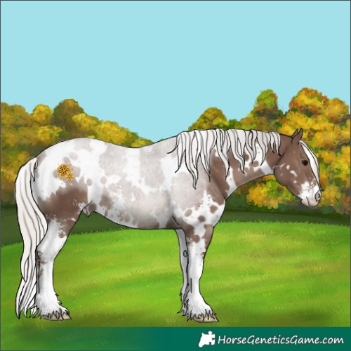 Horse Color:White Spotted Silver Black Sabino 