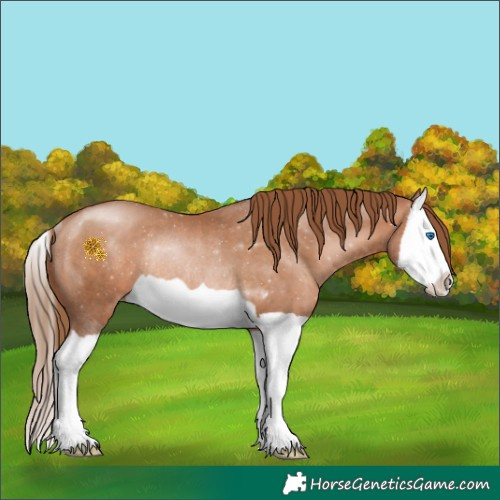Horse Color:Brown Pearl Splash Rabicano 