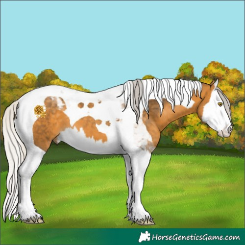 Horse Color:Silver Buckskin Splash Tobiano 