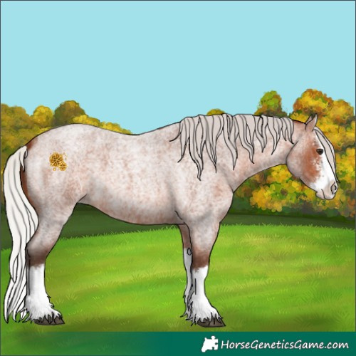 Horse Color:Silver Brown Roan Sabino Splash 