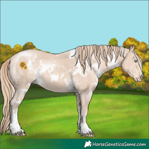 Horse Color:White Spotted Perlino 