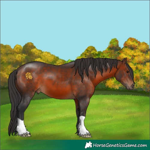 Horse Color:Brown 