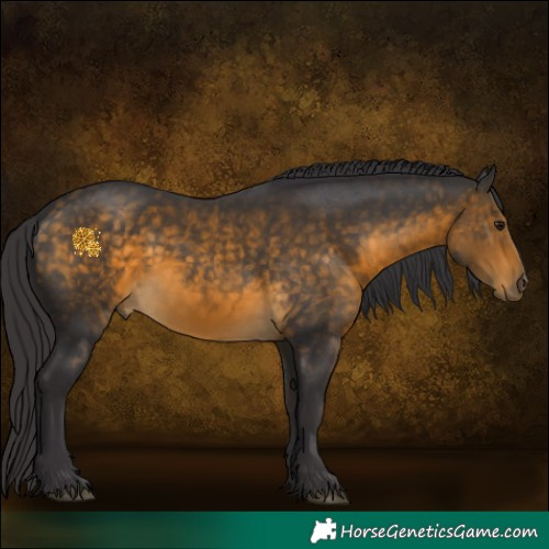 Horse Color:Buckskin 