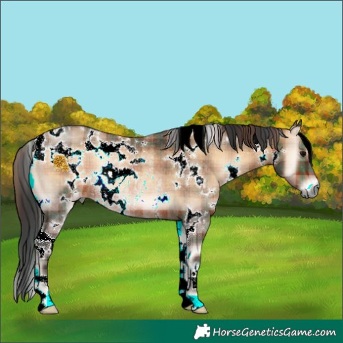 Horse Color:Plaid  White Spotted Brown Onyx Rabicano 