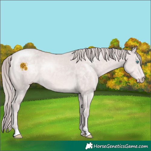 Horse Color:Platinum Chocolate Perlino 