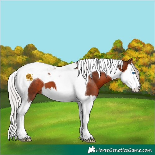 Horse Color:Silver Brown Splash Tobiano 