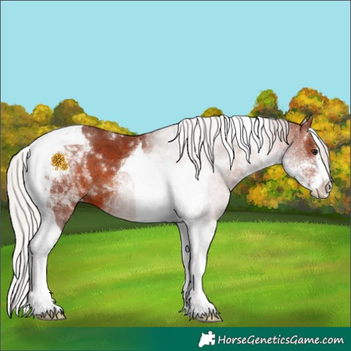 Horse Color:Chocolate Silver Brown Sabino Tobiano 