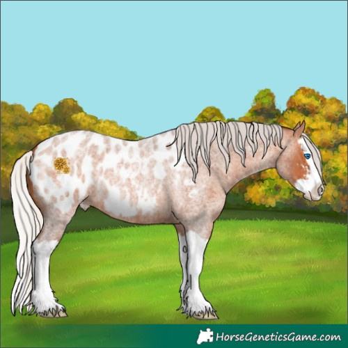 Horse Color:Silver Bay Roan Sabino Splash Blanket 