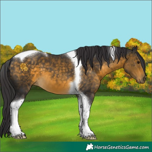 Horse Color:Buckskin Tobiano 