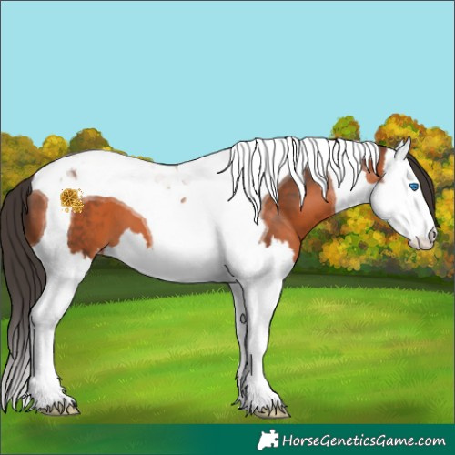 Horse Color:Bay Splash Tobiano Varnish 