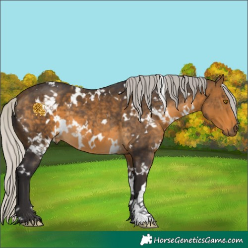 Horse Color:White Spotted Silver Buckskin 