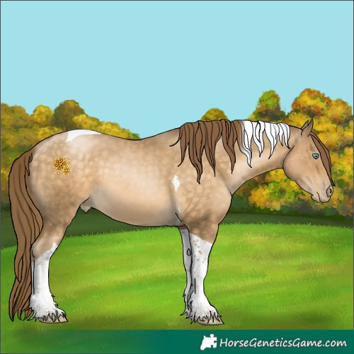 Horse Color:Buckskin Pearl Tobiano 