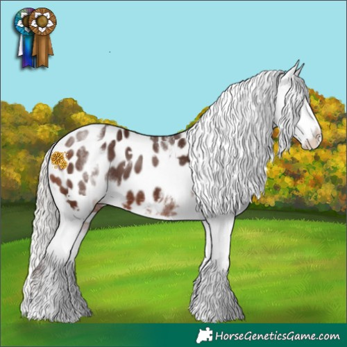 Horse Color:White Spotted Silver Brown Appaloosa 
