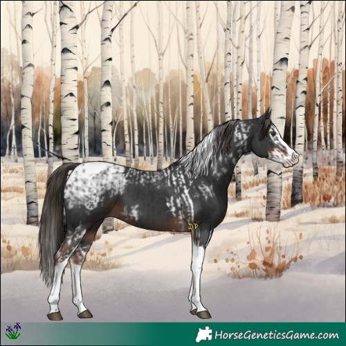 Horse Color:Liver Chestnut Ice Splash Tobiano and Liver Chestnut Ice Splash Tobiano