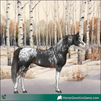Horse Color:Liver Chestnut Ice Splash Tobiano  and Liver Chestnut Ice Splash Tobiano 