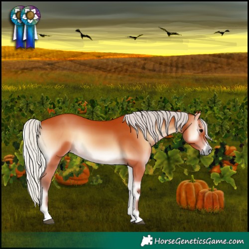 Horse Color:Silver Bay Onyx 