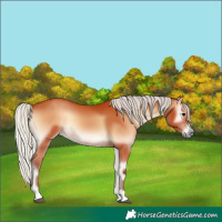 Horse Color:Silver Bay Onyx 