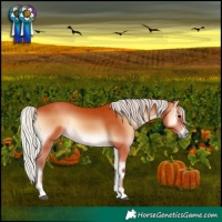 Horse Color:Silver Bay Onyx 