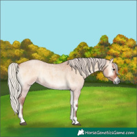 Horse Color:Silver Bay Roan Onyx 