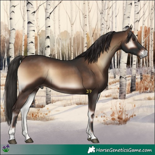 Horse Color:Liver Red Onyx 