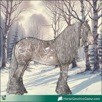 Horse Color:White Spotted Silver Brown Ice