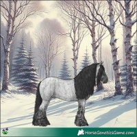 Horse Color:Midnight Blue Ice Roan and Blue Ice Roan