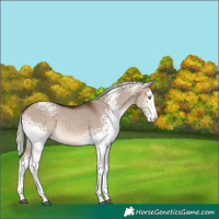 Horse Color:White Spotted Silver Bay Dun Mushroom Splash 