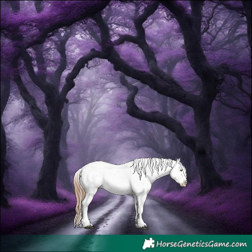 Horse Color:Red Dun Roan Splash Snowcap 