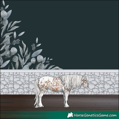 Horse Color:Silver Brown Dun Splash Tobiano Blanket 