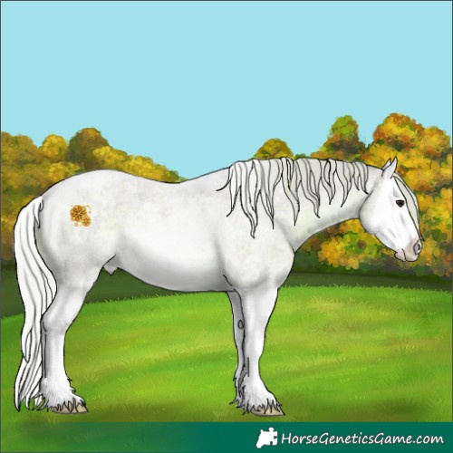 Horse Color:Watercolor Silver Blue Roan Splash 