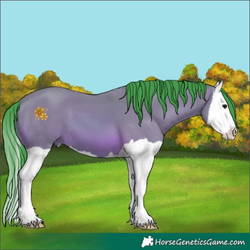 Horse Color:Watercolor Bay Splash 