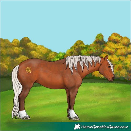 Horse Color:Silver Bay 