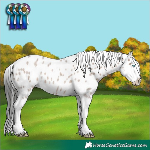Horse Color:Liver Red Dun Roan Splash Near Leopard 